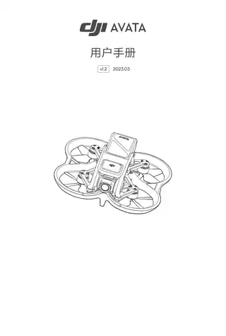 DJI大疆DJI Avata